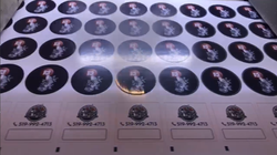 Premium custom vinyl stickers and roll labels printed in Markham Ontario for Canadian businesses.